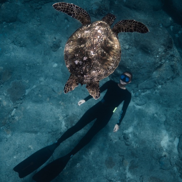 Meet your Posher, Mckayla - Picture 5 of 15